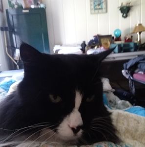 Meet your Posher, Mindy